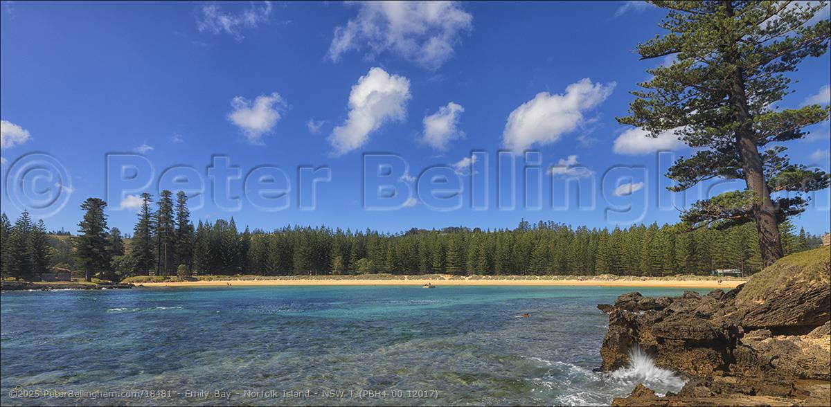 Peter Bellingham Photography Emily Bay - Norfolk Island - NSW T (PBH4 00 12017)